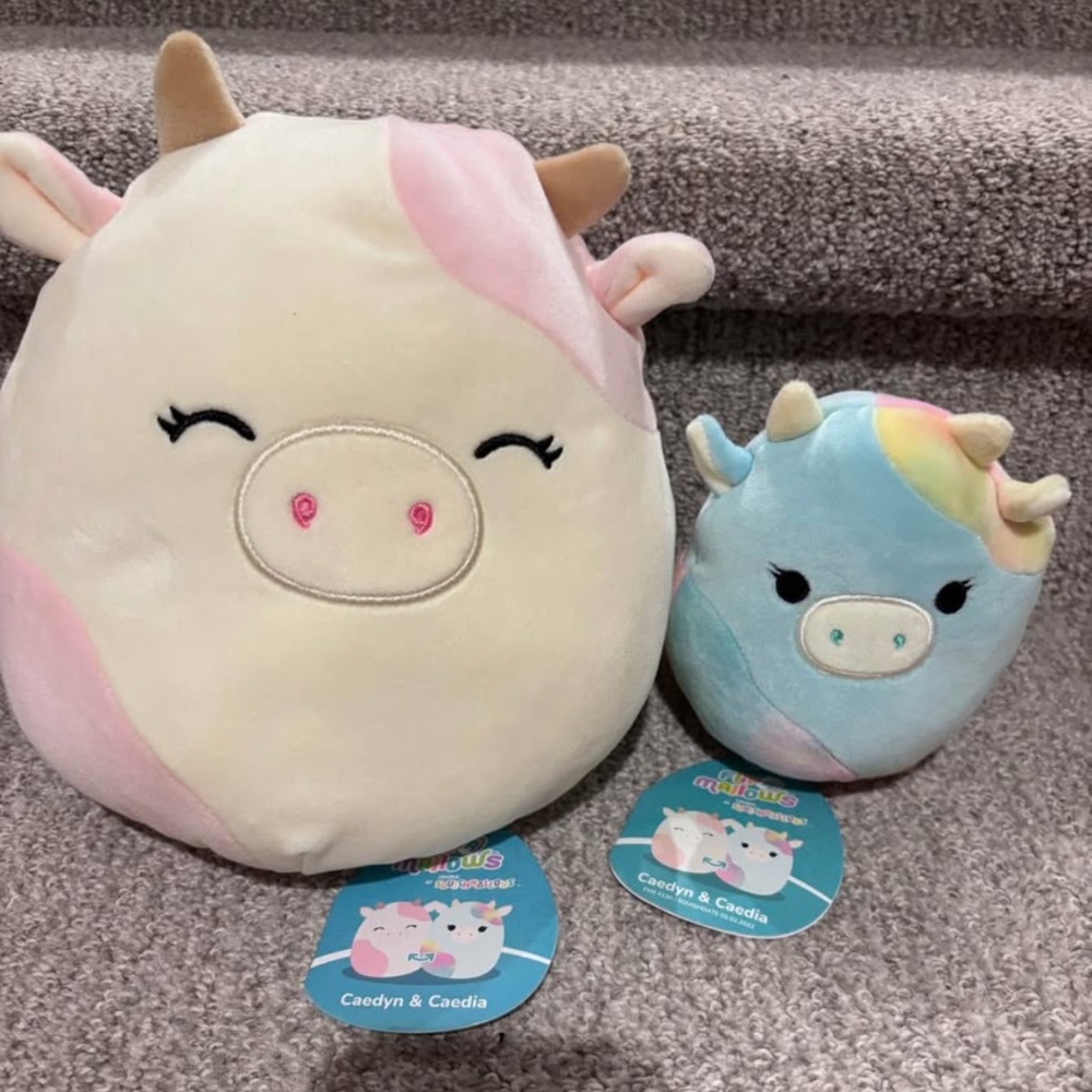 Squishmallow flip